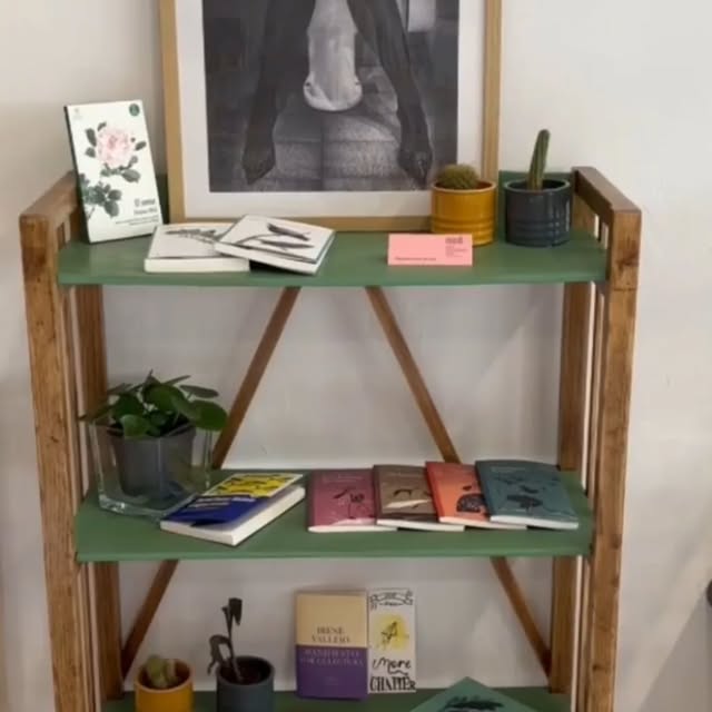 Estantería de estructura de madera y baldas verdes con libros y plantas